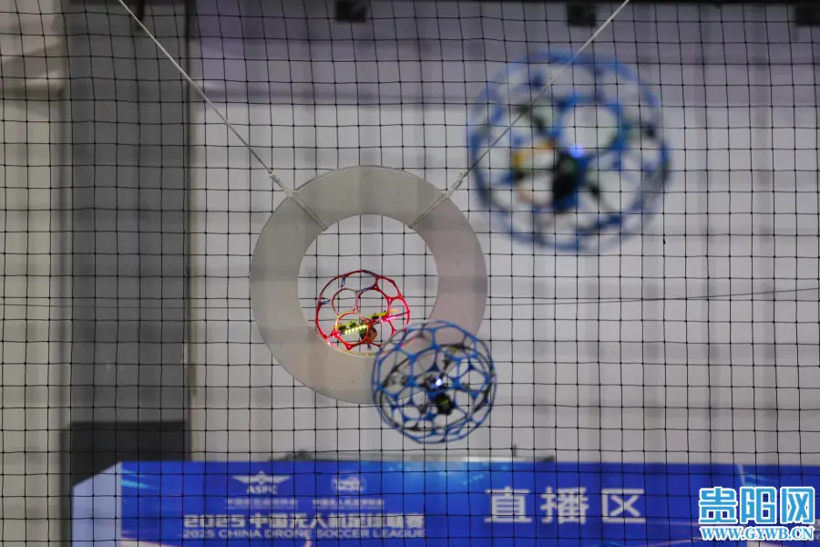 的双重体验, 既有国内一, 体育总局航