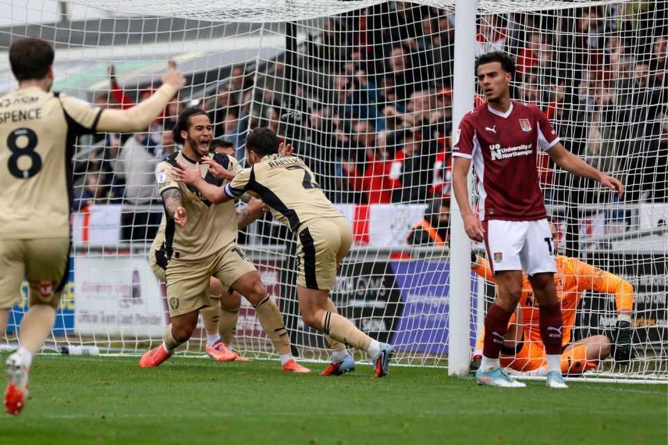 ami, 布里斯托尔, QXkVv